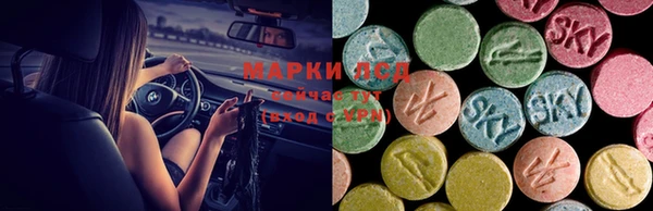 дживик Алзамай