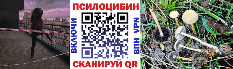 Псилоцибиновые грибы MAGIC MUSHROOMS  Калач 