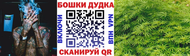 где можно купить   Калач  Конопля Ganja 